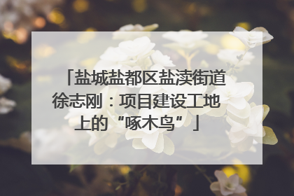 盐城盐都区盐渎街道徐志刚：项目建设工地上的“啄木鸟”